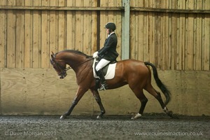 Isis Dressage Crown Farm Show 29th April 2012